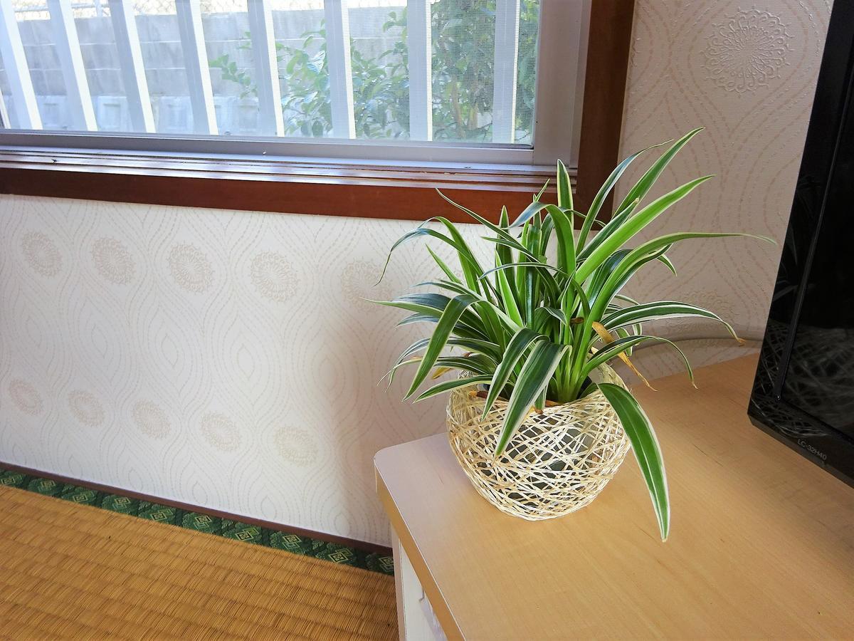 Hotel Minshuku Itoman Bettei Goyukkuri Exteriér fotografie